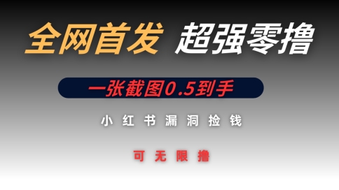 全网首发无限零撸捡钱项目，小红书一张截图0.5元可无限零撸-副业城