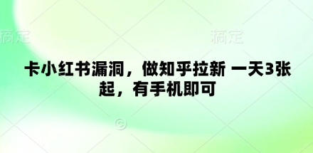卡小红书漏洞，做知乎拉新 一天3张起，有手机即可-副业城
