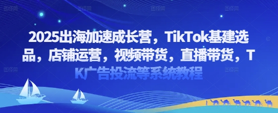 2025出海加速成长营，TikTok基建选品，店铺运营，视频带货，直播带货，TK广告投流等系统教程-副业城