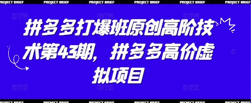 拼多多打爆班原创高阶技术第43期，拼多多高价虚拟项目-副业城