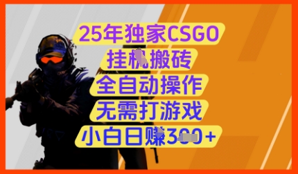 25年独家CSGO挂G搬砖，全自动操作，无需打游戏，小白日入3张+-副业城
