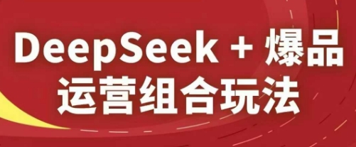 DeepSeek+爆品运营组合玩法，2025淘系精品课-副业城
