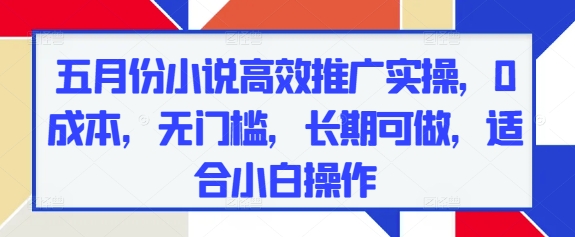五月份小说高效推广实操，0成本，无门槛，长期可做，适合小白操作-副业城