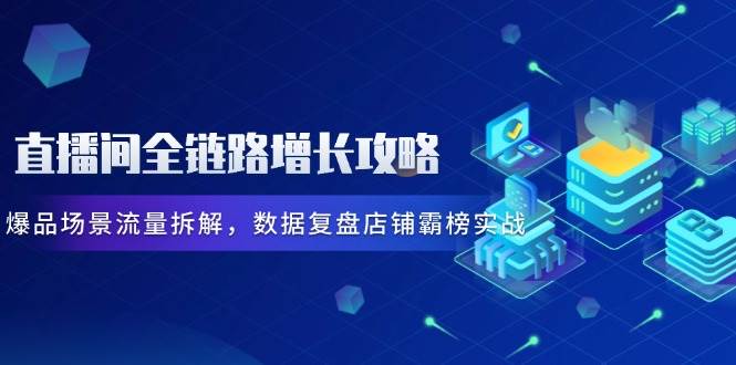 直播间全链路增长攻略，爆品场景流量拆解，数据复盘店铺霸榜实战-副业网