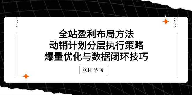 （14698期）全站盈利布局方法：动销计划分层执行策略，爆量优化与数据闭环技巧-副业网