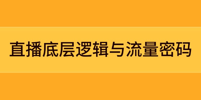 （14695期）直播底层逻辑与流量密码：定位模型+案例拆解，急速流承接与数据优化全攻略-副业网