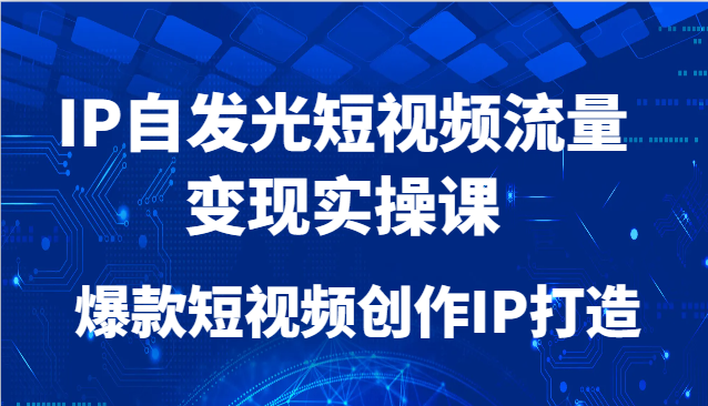 IP自发光短视频流量变现实操课，爆款短视频创作IP打造-副业网