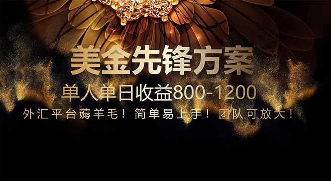 （14761期）免费技术！小众赛道！一年布局抵三年努力，每日800+-副业网