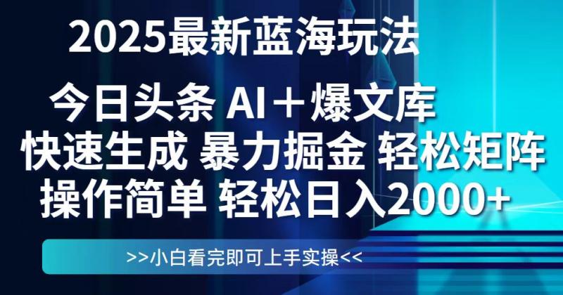（14805期）今日头条2025最新蓝海玩法，思路简单，复制粘贴，轻松实现矩阵日入2000+-副业网