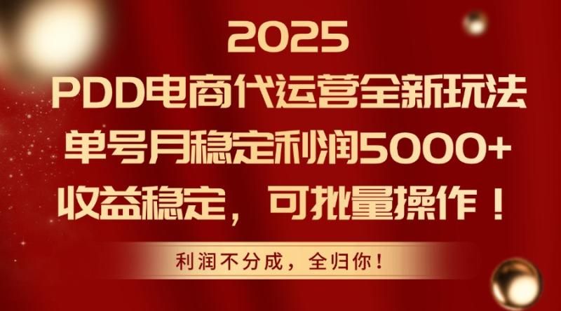 （14839期）2025PDD电商代运营全新玩法，单号月稳定利润5000+，收益稳定，可批量操作-副业网