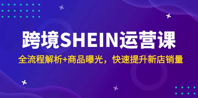 （14832期）跨境SHEIN运营课，全流程解析+商品曝光，快速提升新店销量-副业网