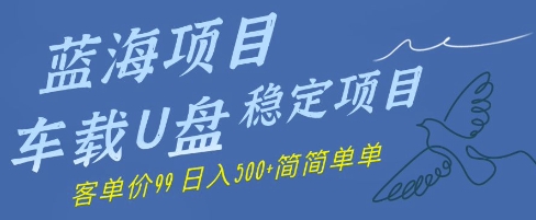 蓝海项目车载U盘稳定项目，挣的就是信息差，客单价99，日入几张简简单单-副业网