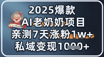 2025爆款 AI 老奶奶项目：亲测 7 天涨粉 1W+，私域变现 1k+-副业网