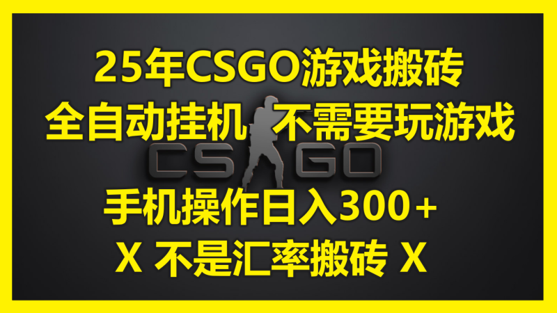 （14902期）25年CSGO游戏搬砖，全自动挂机，不需要玩游戏，手机操作日入300+。(不…-副业网