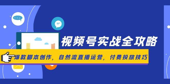 （14925期）视频号实战全攻略，爆款脚本创作，自然流直播运营，付费投放技巧-副业网