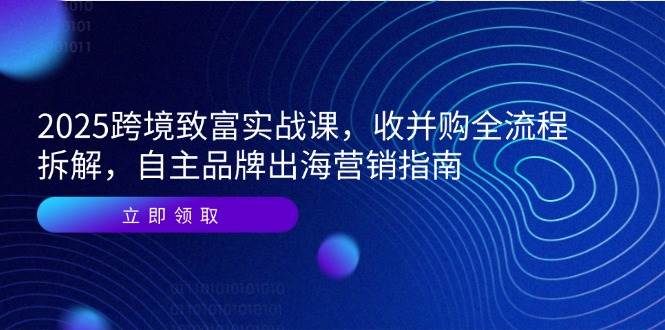 2025跨境致富实战课，收并购全流程拆解，自主品牌出海营销指南-副业网