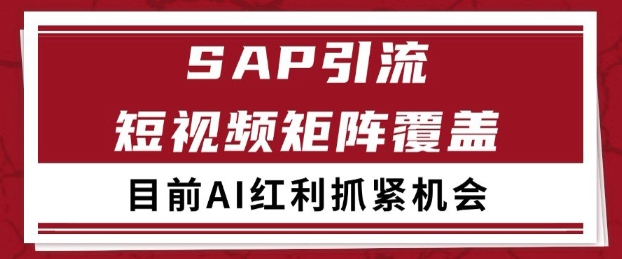 小红书某音sap赛道引流获客 自热矩阵日引200+-副业网