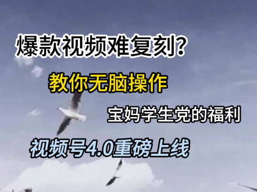 视频号4.0重磅上线，爆款视频难复刻？教你无脑操作宝妈学生党的福利-副业网
