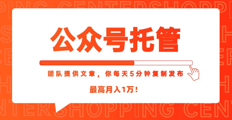 【公众号托管 】我提供文章，你每天５分钟复制发布，最高月入1W-副业网