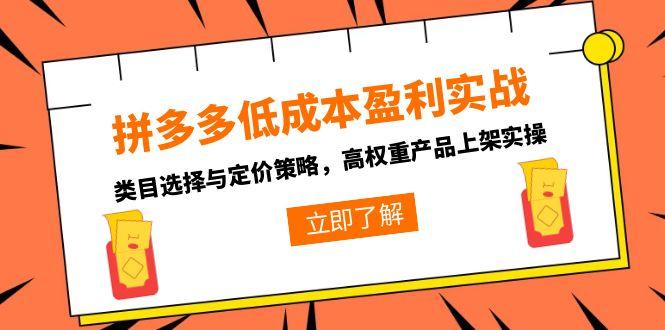 拼多多低成本盈利实战，类目选择与定价策略，高权重产品上架实操-副业网
