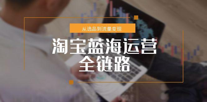 淘宝蓝海运营全链路，从选品到流量变现，小类目突围完整方案-副业网