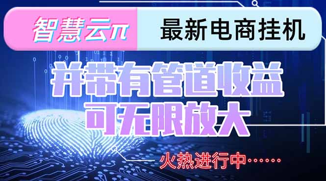 智慧云π电脑挂机单机每天收益300—500+ 并带有团队管道收益 可无限放大-副业网