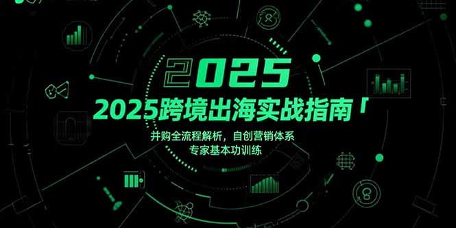 2025跨境出海实战指南，并购全流程解析，自创营销体系，专家基本功训练-副业网