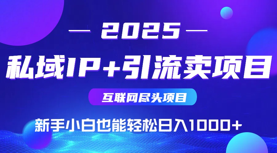 2025网创尽头项目，私域IP+引流，新手小白也能在家日入1000+-副业网