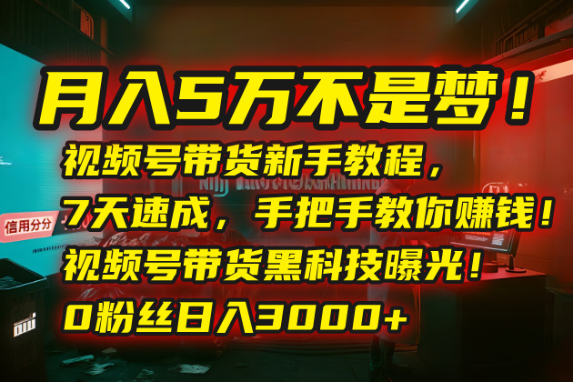 月入5万不是梦！视频号带货新手教程，7天速成，手把手教你赚钱！视频号…-副业网
