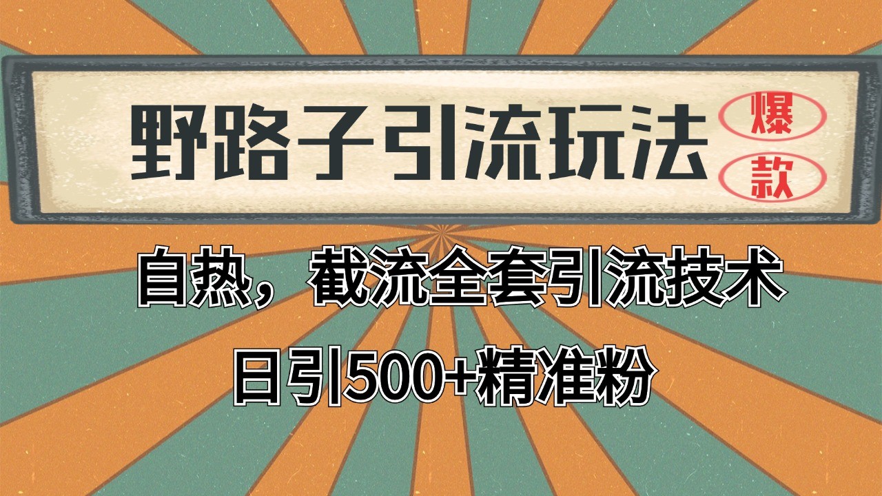 2024首发野路子引流玩法截流自热全平台打法，全自动引流【日引2000+精准客户】-副业网