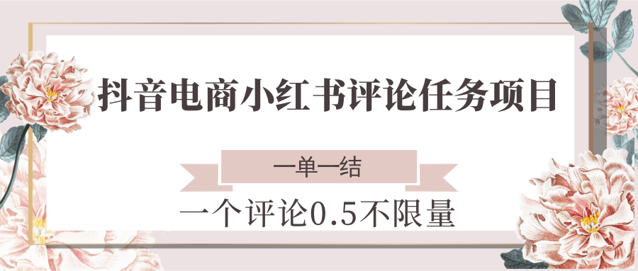 抖音电商小红书评论任务项目，一个评论0.5，一单一结 不限量-副业网