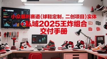 小众暴利赛道(球鞋定制，二创项目)实体+私域2025王炸组合  交付手册-副业网