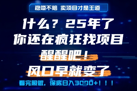 什么？25年你还在疯狂找项目做，醒醒吧，看完这些你全都懂了！【揭秘】-副业网