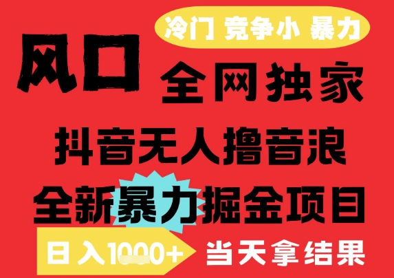 25年6月高爆抖音无人直播最新撸音浪掘金项目，解放双手小白可做，无脑日入1k+，门槛低【揭秘】-副业网