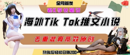 海外tiktok小说推文暴力项目，高停留率，高转化率，上手后一天搞顿饭钱不是问题-副业网