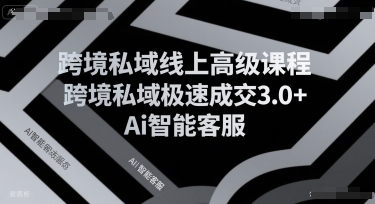 跨境私域线上高级课程，跨境私域极速成交3.0+Ai智能客服-副业网