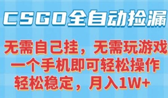 CSGO自动捡漏项目，最新独家玩法，一个手机可操作，新手小白轻松月入1W+，操作简单易上手【揭秘】-副业网