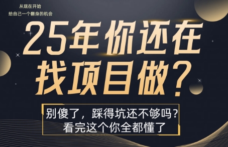 25年，你还在疯狂的找项目吗？别傻了，看完这个你都懂了【揭秘】-副业网