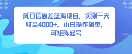 风口信息差蓝海项目，实测一天收益4k+，小白操作简单，可矩阵起号-副业网