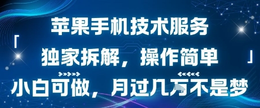 苹果手机技术服务，独家拆解，操作简单，小白可做，月过1W不是梦-副业网