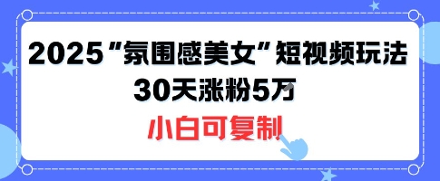 不露脸也能火！2025“氛围感美女”短视频玩法，30天涨粉5W小白可复制-副业网