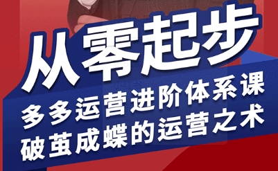 拼多多运营进阶系统课，从零起步，多多运营进阶体系课，破茧成蝶的运营之术-副业网