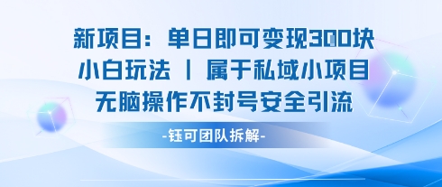 新项目单日即可变现3张的小白玩法无脑操作不封号安全引流-副业网