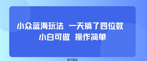 小众蓝海玩法 一天搞了四位数 小白可做 操作简单-副业网