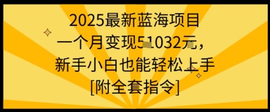 2025最新蓝海项目一个月变现1w+新手小白也能轻松上手【附全套指令】-副业网