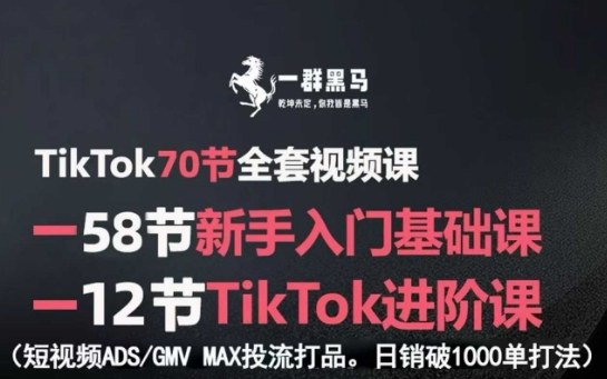TikTok全套视频课，新手入门+进阶课，短视频ADS-GMV MAX投流打品，日销破1000单打法-副业网