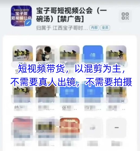 宝子哥头部团队短视频带货，以混剪为主，不需要真人出镜，不需要拍摄【更新9月】-副业网