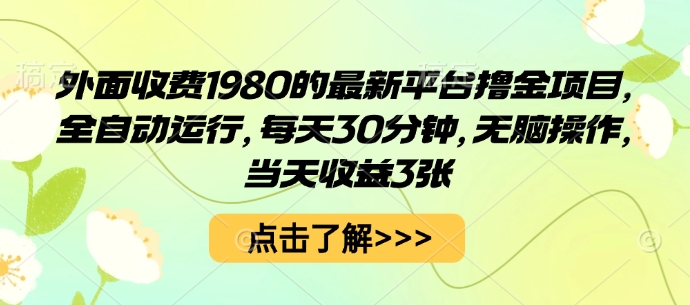 外面收费1980的最新平台撸金项目，全自动运行，每天30分钟，无脑操作，当天收益3张【揭秘】-副业网