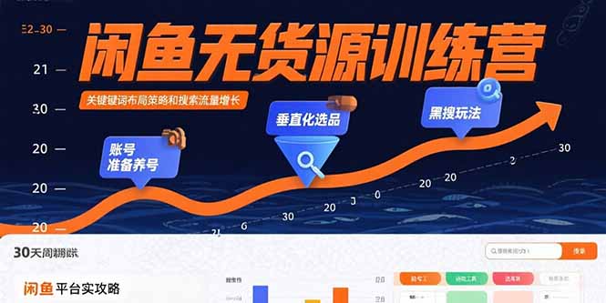 闲鱼无货源训练营：账号准备养号/垂直化选品/黑搜玩法，0基础30天盈利指南-副业网