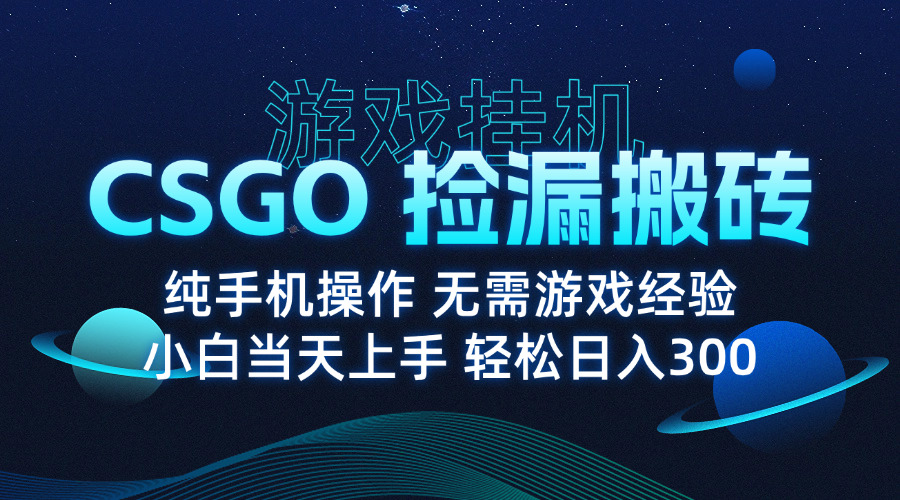 8月最新游戏搬砖，CSGO纯挂机，不需要玩游戏，实现真挂机，月入1W+-副业网